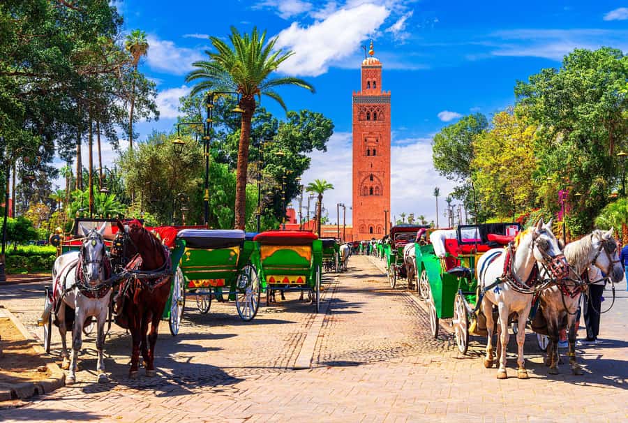 Marrakech: Bahia Palace, Madrasa Ben Youssef & Secret Garden - Key things I’d plan for