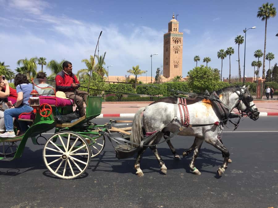 Marrakech: Bahia Palace, Saadian Tombs, & Koutoubia Mosque - El Bahia Palace: Courtyards and Mosaics Worth Your Ticket Fee