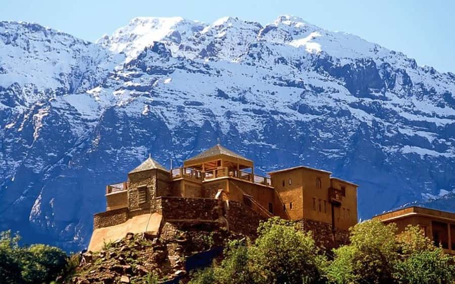 Marrakech: Berber Spa and Traditional Hammam with Steam Room - The 40-Minute Argan Oil Massage: Comfort, Oils, and Real Relaxation