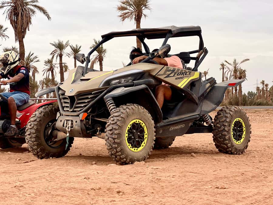 Marrakech: Buggy Adventure & Horse Riding in the Palm Grove - Palm Grove Horse and Buggy, The Right Mix of Calm and Action