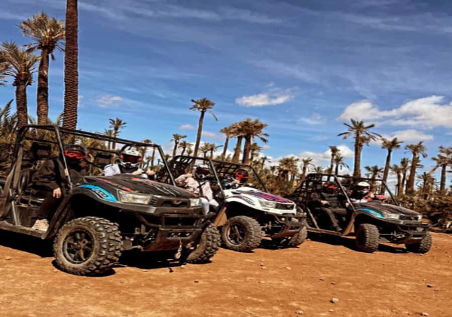 Marrakech: Buggy Experience at Palmeraie with Hotel Pickup - The Palmeraie palm oasis break: mint tea in a traditional villa