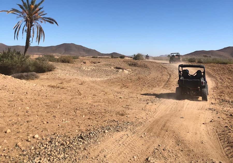 Marrakech: Buggy Experience at Palmeraie with Hotel Pickup - Hotel pickup in an air-conditioned car, then a clear safety start