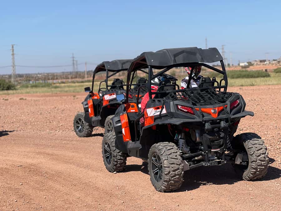 Marrakech Buggy Palmerie and Desert - Desert Trails, Palmeraie Palms, and Berber Village Views