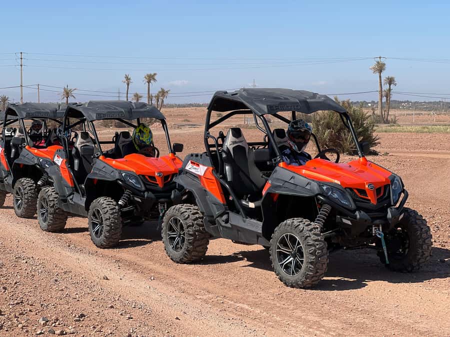 Marrakech Buggy Palmerie and Desert - Photo Stops and Moroccan Mint Tea: The Break That Makes It Feel Real