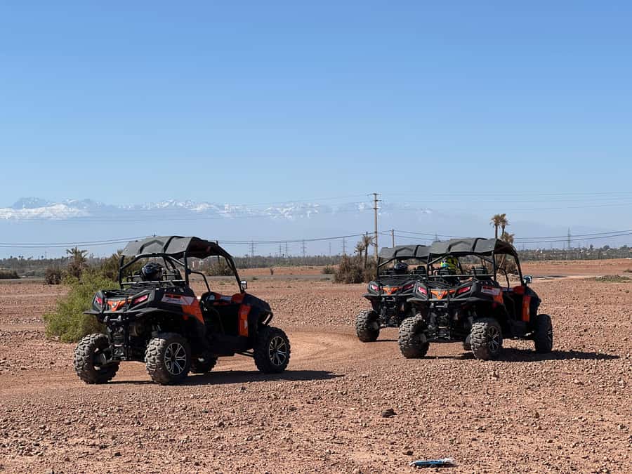 Marrakech Buggy Palmerie and Desert - Price and Value: Why This Is Often a Top Pick in Marrakech