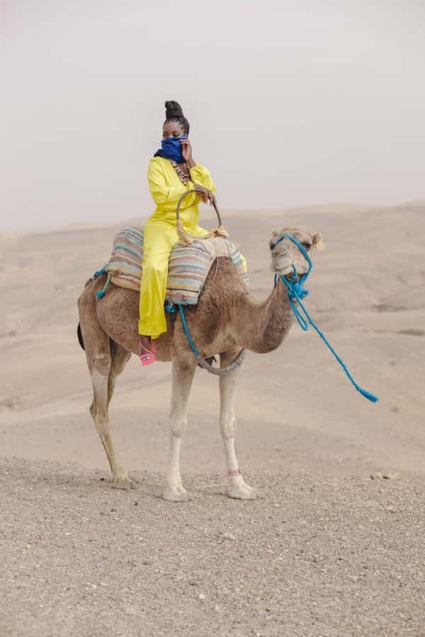 Marrakech: Camel & Quad Bike Tour with Sunset, Dinner & Show - Key Things I’d Put on Your Must Do List