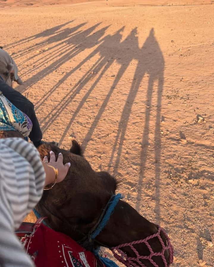 Marrakech: Camel & Quad Bike Tour with Sunset, Dinner & Show - From Medina Pickup to Agafay Desert in a Tight 5 Hour Day