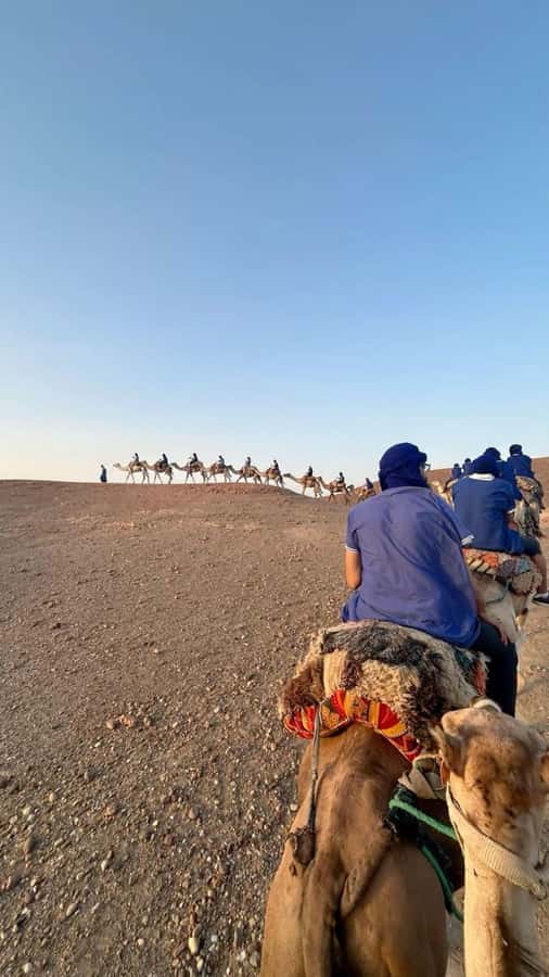 Marrakech: Camel & Quad Bike Tour with Sunset, Dinner & Show - Who Should Book This Marrakech Quad and Camel Tour