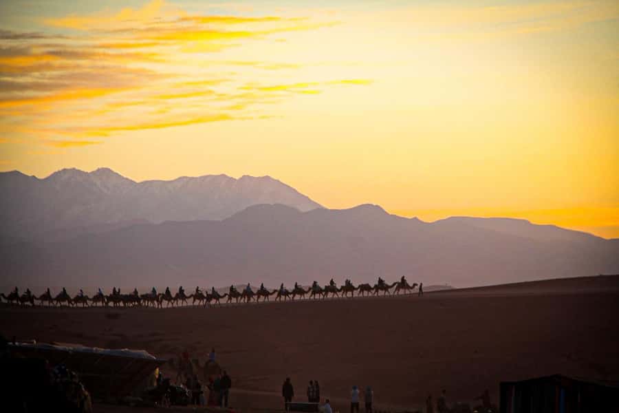 Marrakech: Camel Ride, Dinner, Pool, and Fire Show in Agafay - The fire show in Agafay: skilled, bright, and not just for show