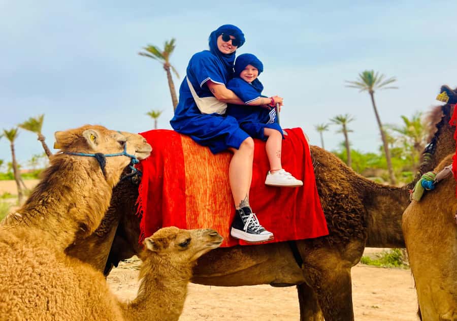 Marrakech: Camel Ride in the Oasis Palmeraie - Key takeaways before you book