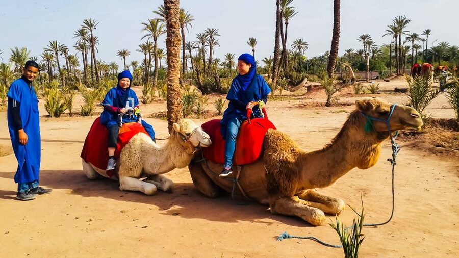 Marrakech: Camel Ride in the Oasis Palmeraie - Who should book this camel ride in Palmeraie