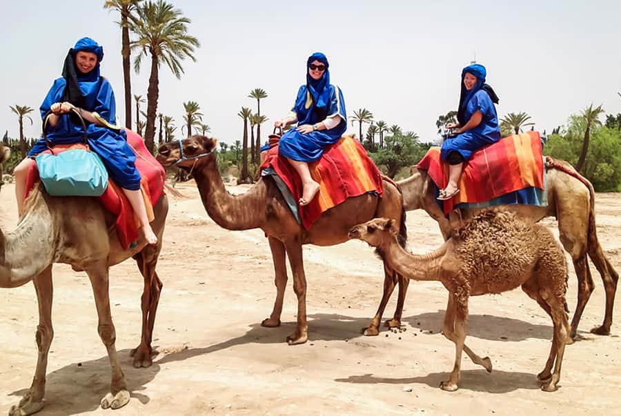 Marrakech: Camel Ride in the Oasis Palmeraie - Why the Palmeraie camel ride feels like a switch from the medina