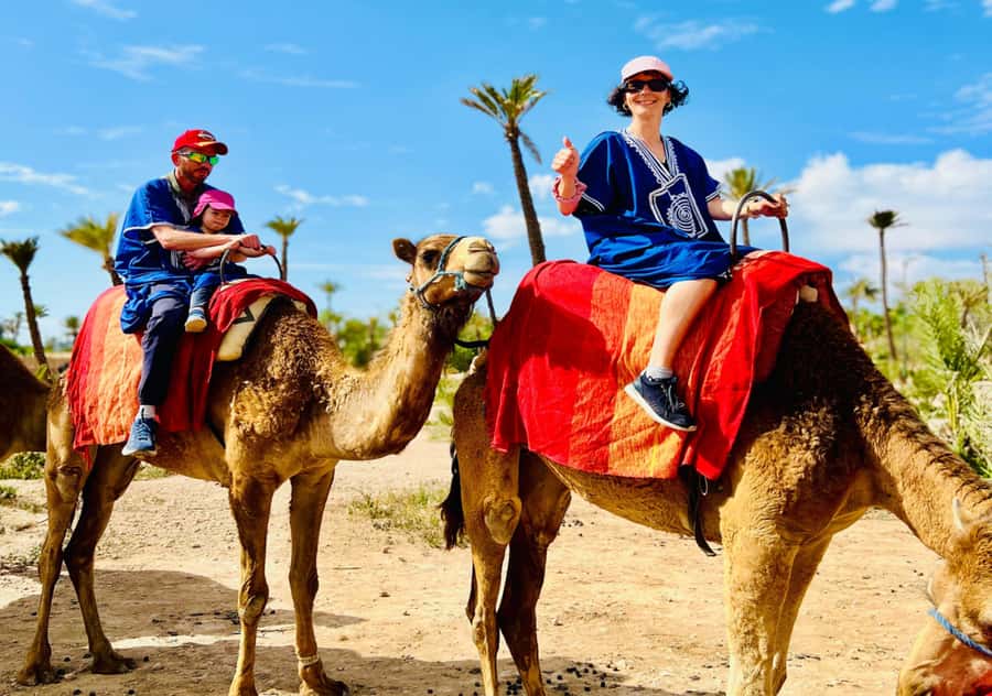 Marrakech: Camel Ride in the Oasis Palmeraie - Mounting up: your hour through palm groves and orange trees