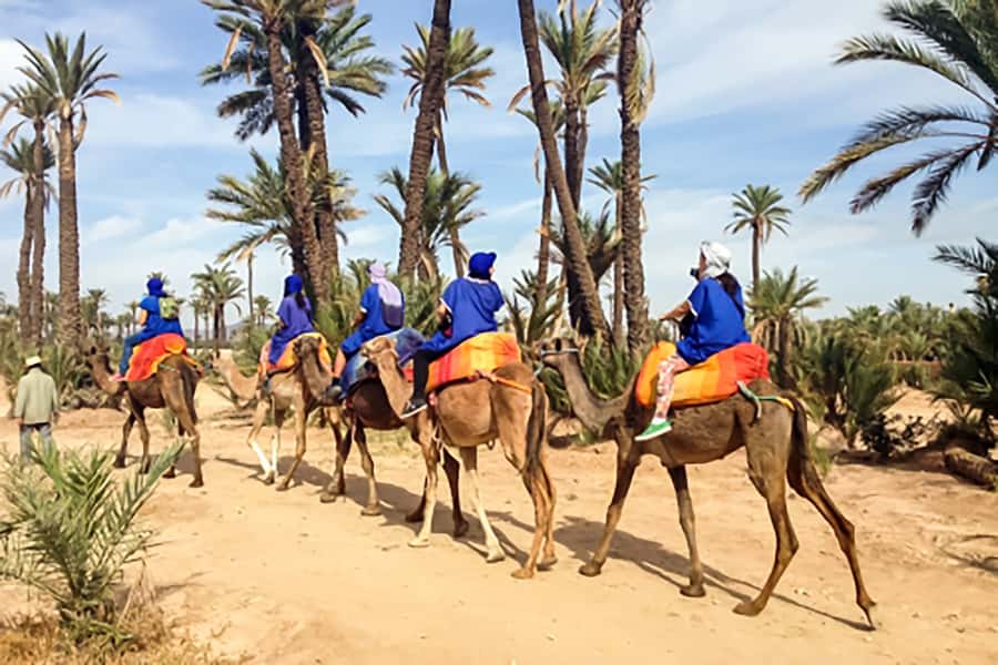 Marrakech: Camel Ride in the Oasis Palmeraie - Village paths and the tea stop that turns it from activity to memory