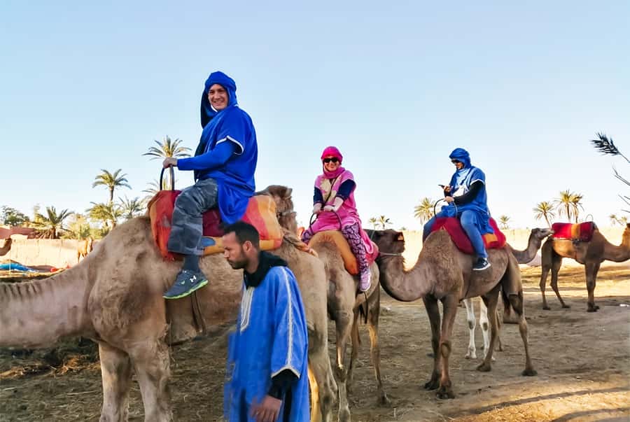 Marrakech: Camel Ride in the Oasis Palmeraie - Camels and comfort: what to expect with animal care and safety