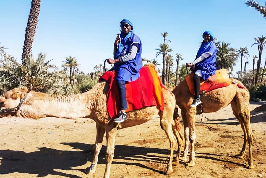 Marrakech: Camel Ride in the Oasis Palmeraie - Price and time: why $26 can make sense in Marrakech