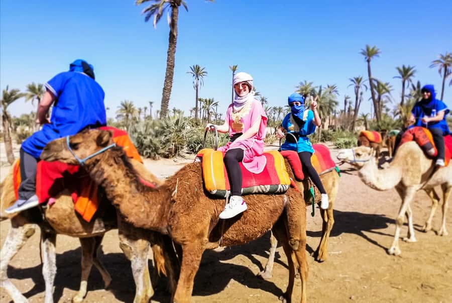 Marrakech: Camel Ride in the Oasis Palmeraie - Casablanca Hassan II mosque mention: double-check your route