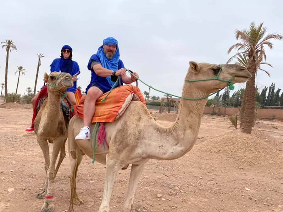 Marrakech Camel Ride in the Palmeraie Palm Grove - Key Things That Make This Marrakech Camel Ride Worth Your Time