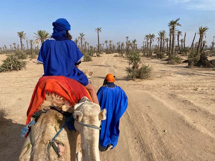 Marrakech Camel Ride in the Palmeraie Palm Grove - Tuareg-Style Chache and Gandora, Then It’s Time to Ride