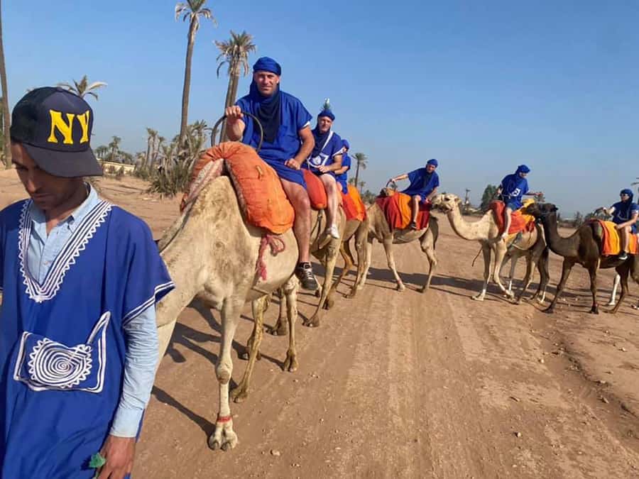 Marrakech Camel Ride in the Palmeraie Palm Grove - Hotel Pickup and the Palmeraie Meeting Point You Need to Know