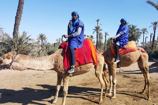 Marrakech Camel ride & Quad Bike experience in the oasis Palmeraie - Mint tea and the air-conditioned breather you’ll be glad you got