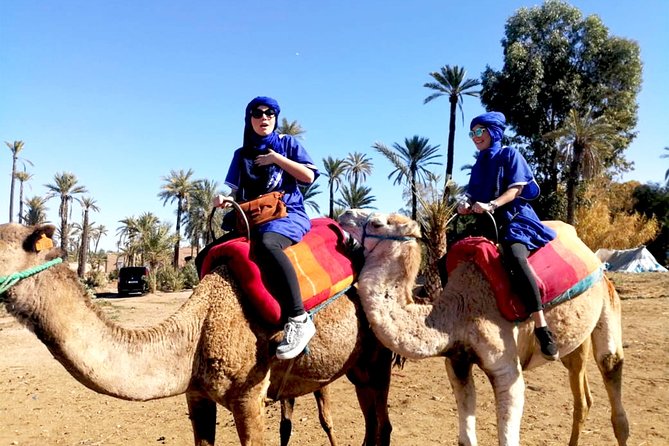 Marrakech Camel ride & Quad Bike experience in the oasis Palmeraie - Morning vs afternoon departures: choosing the least painful heat