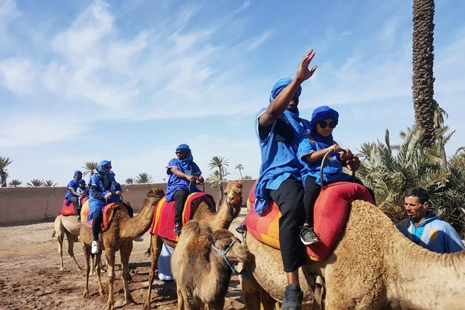 Marrakech Camel ride & Quad Bike experience in the oasis Palmeraie - Price and value: what $67.46 buys you in real life