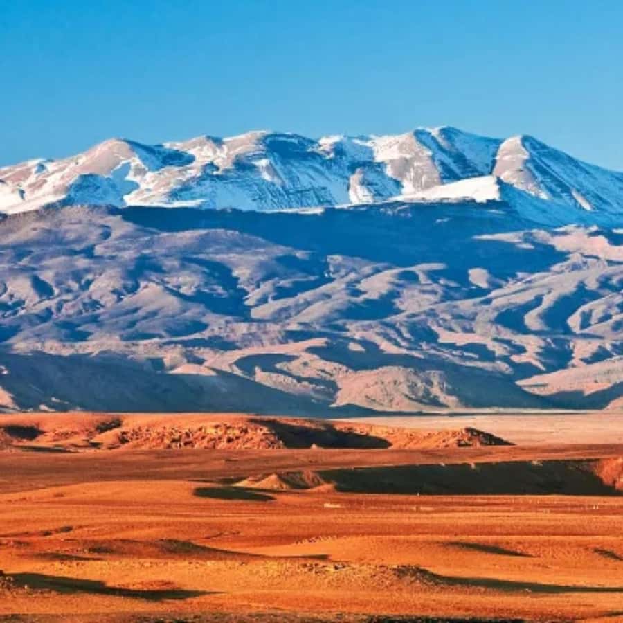 Marrakech: Camel Ride & Sunset Dinner with Fire Show - Price and value: what $22 includes, and what you are really paying for