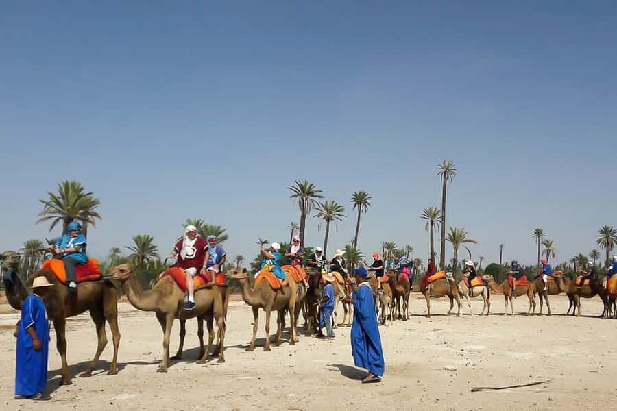 Marrakech: Camel Trek - Key things to know before you go