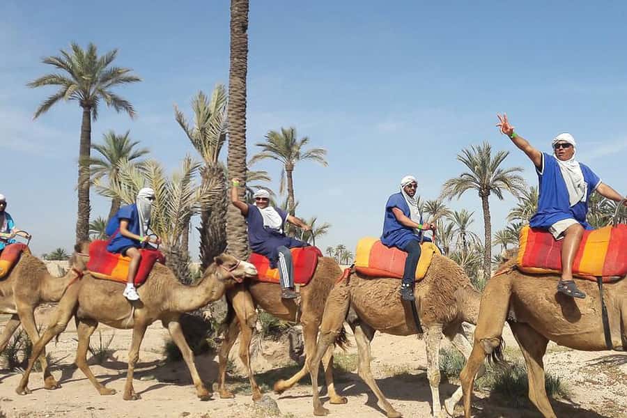 Marrakech: Camel Trek - Price and Value: What $40 Includes, and What You Might Pay Extra