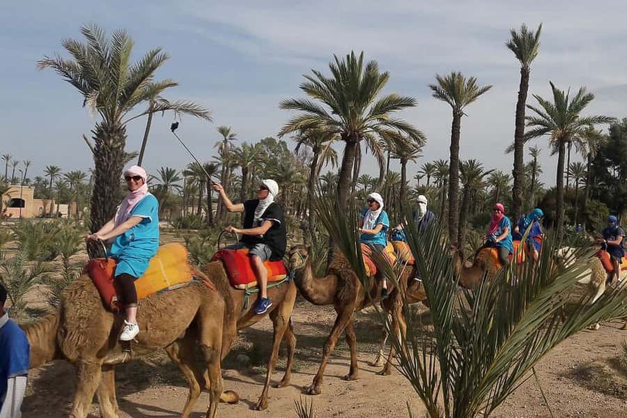 Marrakech: Camel Trek - Berber-Style Outfit and Camel Prep: The Moment It Becomes Real