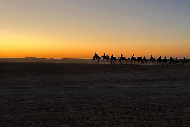 Marrakech: Camels & Quads on Sunset and Luxury Dinner with Show - Dinner Under the Stars: The Campfire Show Part