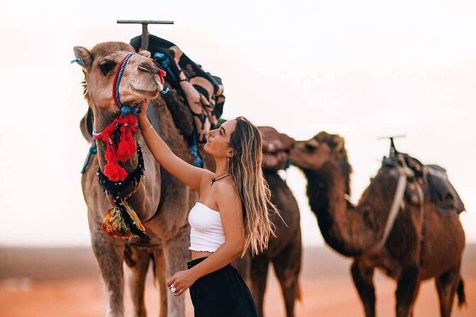 Marrakech: Camels & Quads on Sunset with Luxury Dinner, Fireshow - Key Things That Make This Marrakech Sunset Tour Feel Worth It