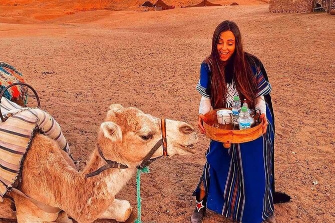 Marrakech: Camels & Quads on Sunset with Luxury Dinner, Fireshow - Luxury Dinner Under the Stars: The Part You’ll Remember Later