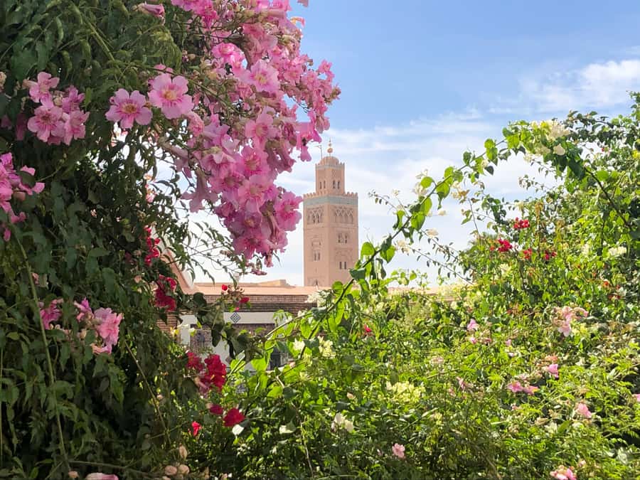 Marrakech: Customized Guided Walking Tour - Medina lanes, markets, and artisan workshops you can actually talk to