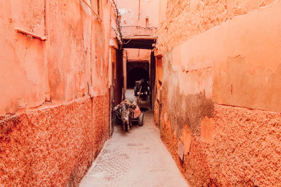 Marrakech: Customized Guided Walking Tour - Bahia Palace: mosaics, gardens, and choosing your pace