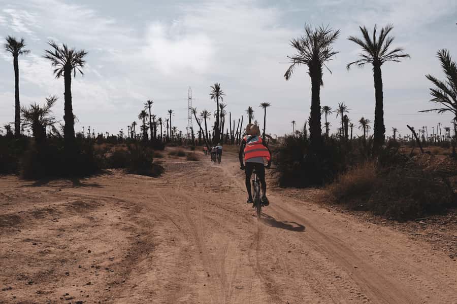 Marrakech: Cycling Tour in Palm Groove with Local Breakfast - Key highlights at a glance