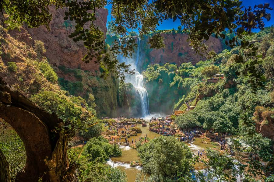 Marrakech: Day Tour to Ouzoud Waterfalls with Boat Trip - Arriving at Ouzoud: gorge walking, viewpoints, and timing your photos