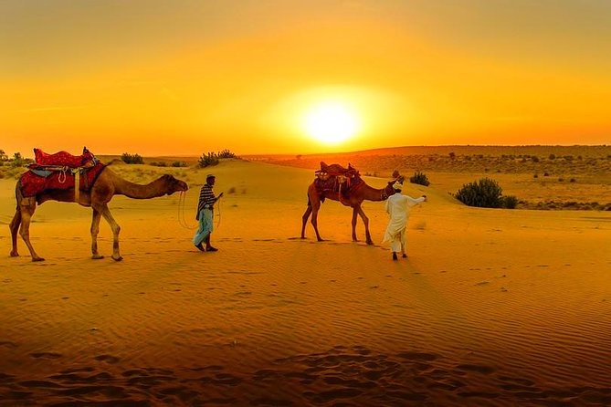 Marrakech Day Trip: Agafay Desert, Atlas Mountains and Camel Ride - Key things to know before you go