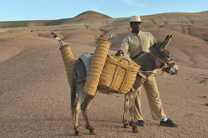 Marrakech: Desert Agafay & Atlas Mountains Day Trip & Camel Ride - What You Get for About $22: Value, Time, and Included Extras