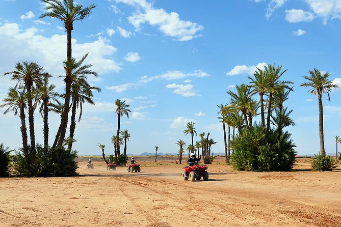 Marrakech Desert and Palm Grove Quad Bike Tour - Key things to know before you go