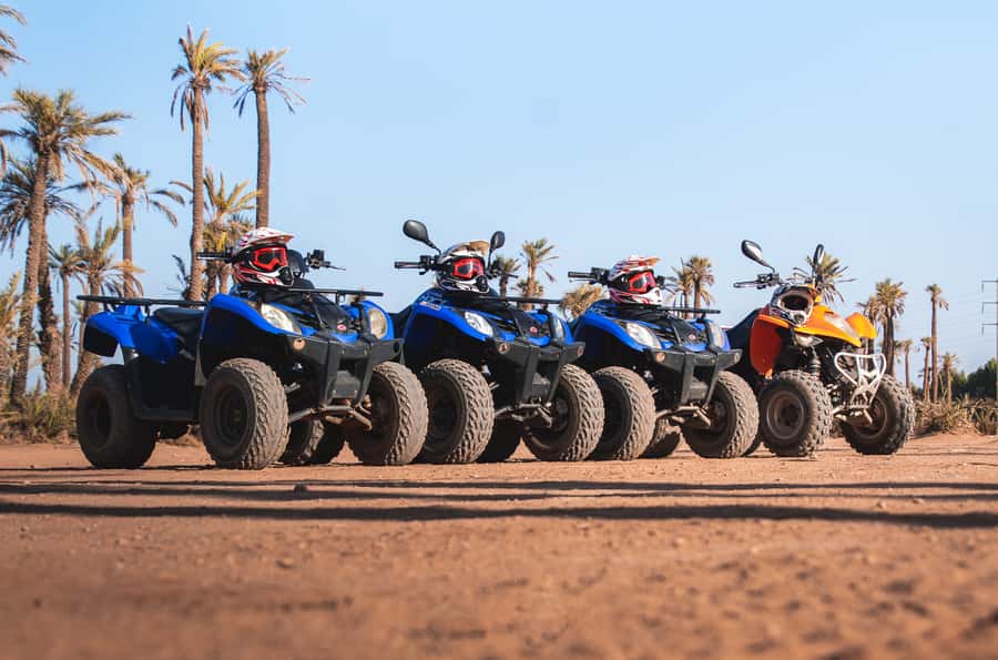 Marrakech: Desert and Palm Grove Quad Tour with Tea - Is $22 good value for this Marrakech quad and tea tour?