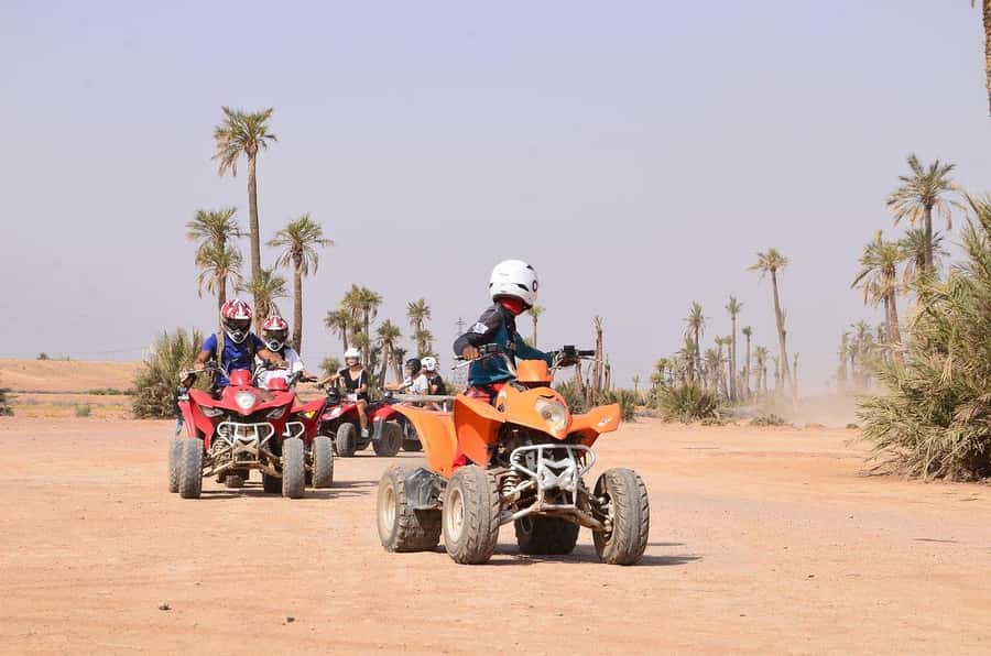 Marrakech: Desert and Palm Grove Sunset Quad Tour with Tea - Value and pricing: why $34 can feel surprisingly fair