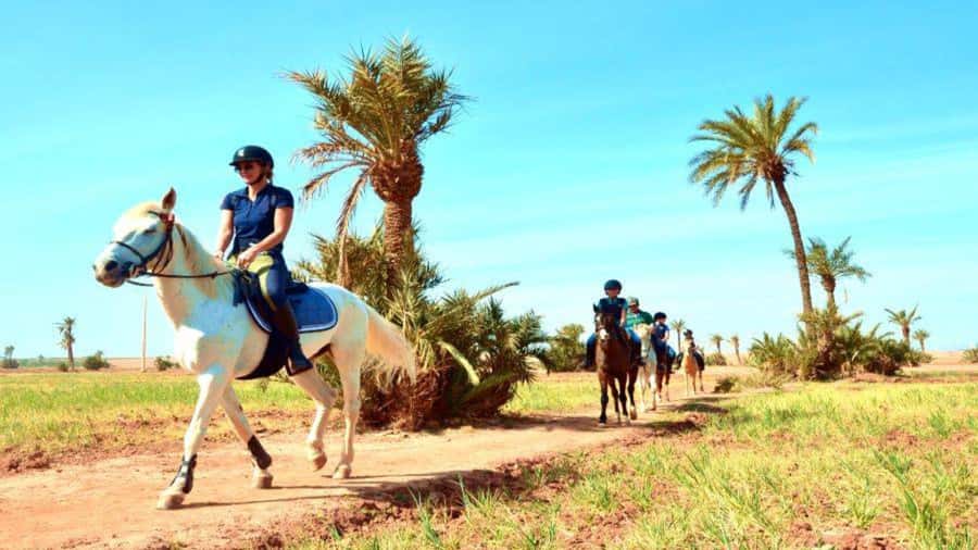 Marrakech: Desert and Palmeraie Horse Riding Tour & Transfer - Getting From Your Hotel to the Palmeraie Area Fast and Easy