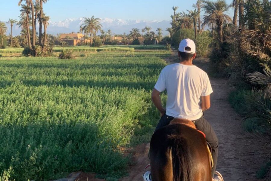 Marrakech: Desert and Palmeraie Horse Riding Tour & Transfer - Transfers Back to Marrakech: Plan for Collection Timing