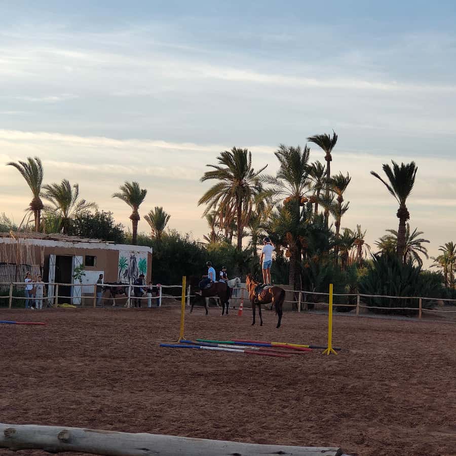 Marrakech: Desert and Palmeraie Horse Riding Tour & Transfer - Language and Guidance: Who You’re Riding With Matters