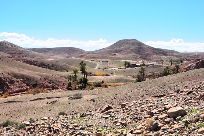 Marrakech Desert Buggy Tour Including Berber Tea Break and transfer - Berber Tea Break With a Local Family: What You Get and Realistic Expectations