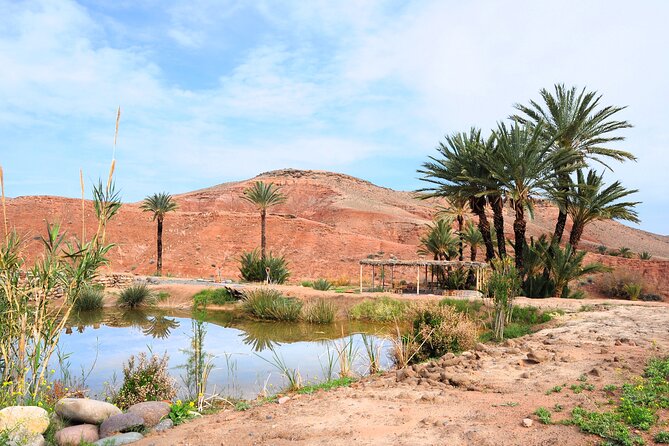 Marrakech Desert Buggy Tour Including Berber Tea Break and transfer - Guides, Photos, and That Small-Group Advantage