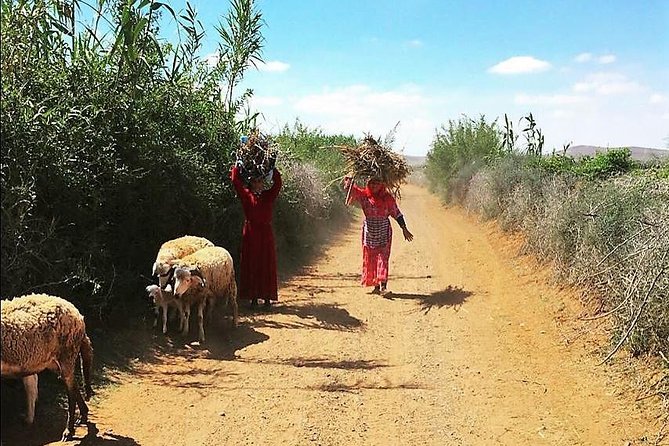Marrakech Desert Buggy Tour Including Berber Tea Break and transfer - Who Should Book This Marrakech Desert Buggy Tour