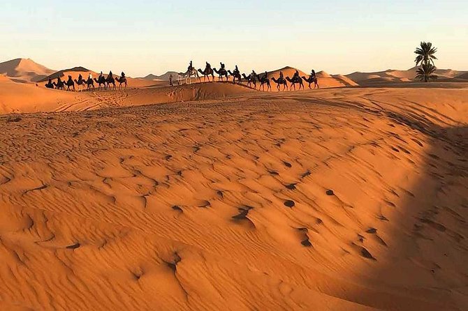Marrakech Desert: Camel Ride, Quad Biking & Dinner Show Options - Leaving Marrakech: Air-Conditioned Comfort and Real Rural Stops